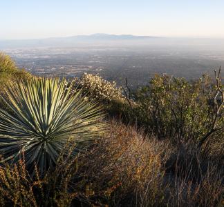 A view of the San Gabriel Mountains from the San Bernardino National Forest