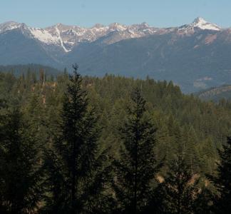 Shasta-Trinity National Forest was established by President Theodore Roosevelt in 1905. 
