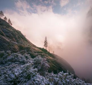 Yosemite National Park