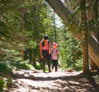 Woman walking with child toward foreground along sunlit forest oath with tall trees surrounding them