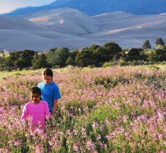 two kids walking on. a field of flowers