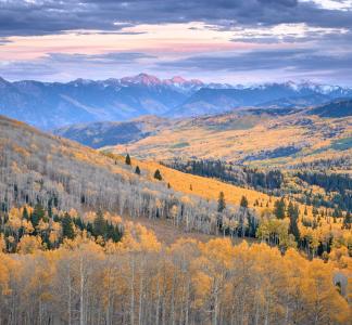 Gunnison National Forest, Colorado.