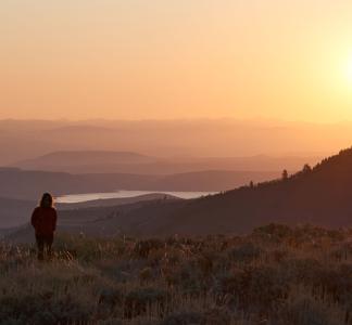 Gunnison National Forest, CO