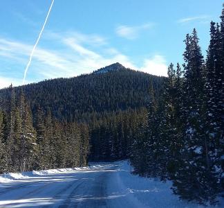 Snowy road surrounded by trees with Mestaa’ėhehe Mountain on the horizon