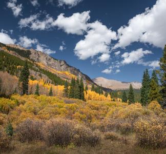 Autumn colors in Mount Evans Wilderness, CO.