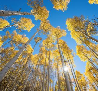 White River National Forest, CO