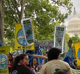 Protesters holding signs with trees and the capitol dome visible in the background