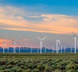 Wind turbines in a field with a chain of mountains on the horizon behind them