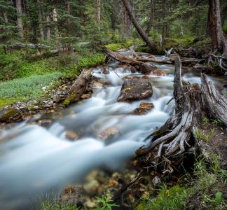 Creek in Salmon-Challis National Forest, Idaho