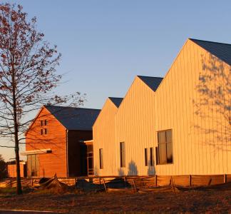 Several low buildings and a near-bare tree lit by sunrise