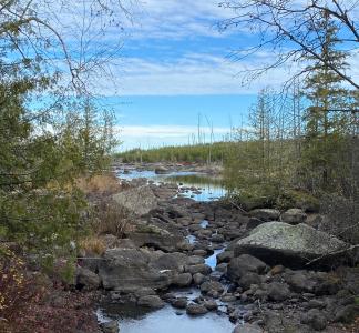 Rocky creek with trees and underbrush on either side and a clearing in the middle distance