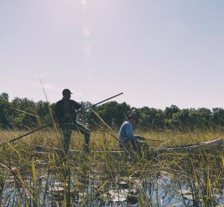 Two people on a canoe (one seated, one standing) amid tall stalks of wild rice