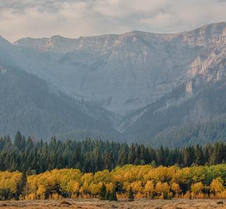 Centennial Mountains Wilderness Study Area, Montana.
