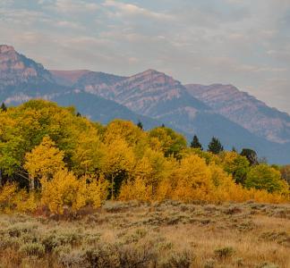 Centennial Mountains, WA