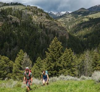Hikers in Gallatin National Forest, MT