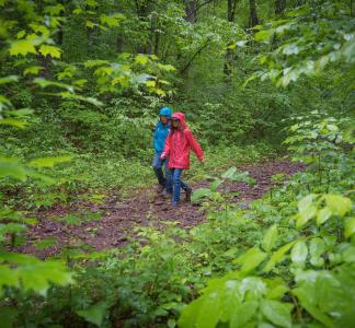 Hikers in the Craggy Mountains area of Pisgah National Forest, NC