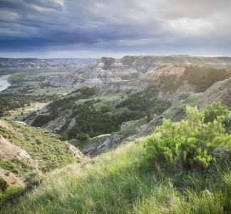 Theodore Roosevelt National Park