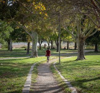 woman walking on trail surrounded by trees