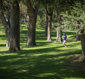 Person walking in shady green park.