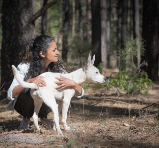 Dog in Gila National Forest, NM