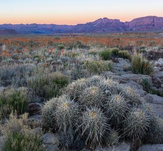 Marble Canyon, Arizona.