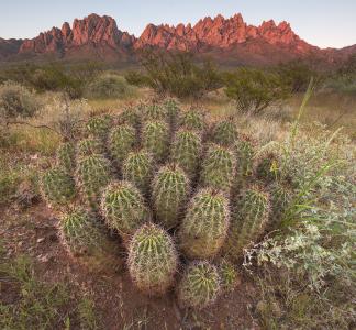 Organ Mountains National Monument, New Mexico