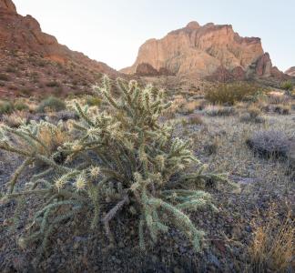 Desert hills at sunrise in Avi Kwa Ame National Monument.