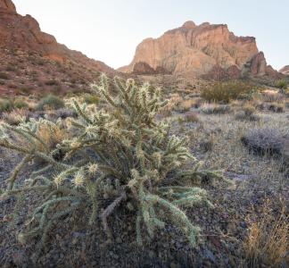 Desert hills at sunrise.