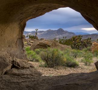 Nevada's Desert National Wildlife Refuge is the largest in the Lower 48