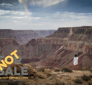 A woman stands at the ledge of a deep Arizona canyon that stretches far into the distance. Text reads "not for sale."