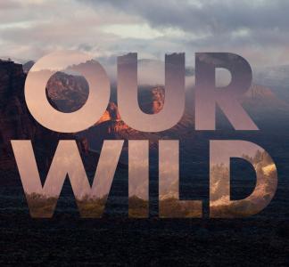 Our Wild Graphic