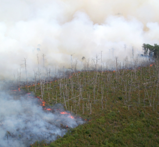 Great Dismal Swamp Wildfire