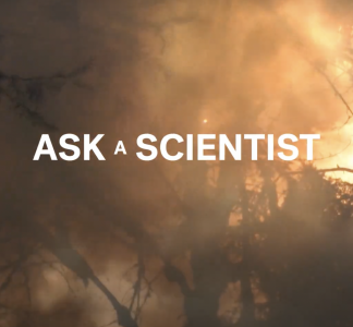 Ask a scientists videos