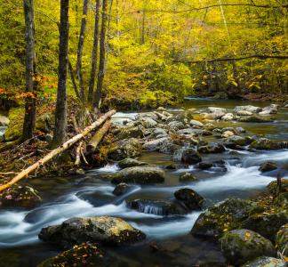 Great Smokey Mountains National Park, TN