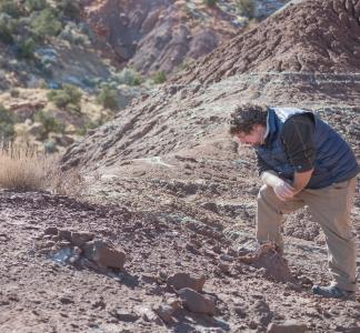 Paleontologist at Bears Ears National Monument, UT