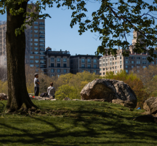 Two individuals enjoying Central Park in New York City.