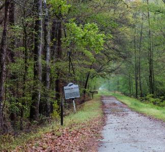 Sign reading "Washington Ditch" in the ground near a stand of green trees next to a dirt road in the Great Dismal Swamp, Virginia