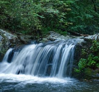 Waterfall cascading down rocks in a forest
