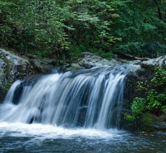 Waterfall cascading down rocks in a forest