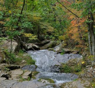 Water cascading over rocks in the middle of a deciduous forest, with some leaves beginning to change colors for fall