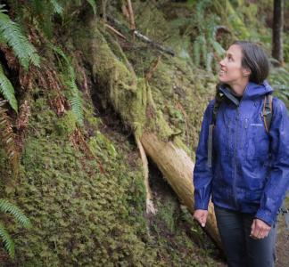 Hiking in Alpine Lakes Wilderness, Washington