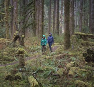 Walking in Alpine Lakes Wilderness, WA