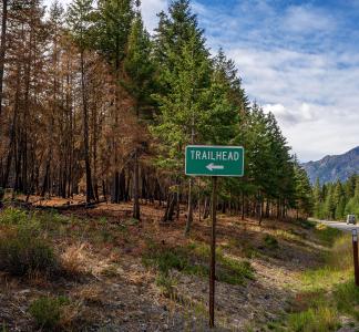 Trailhead sign in front of a half-burnt forest.