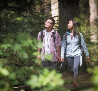 Two people walking through the woods