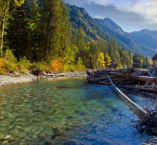 Mount Baker-Snoqualmie National Forest, WA, Andy Porter