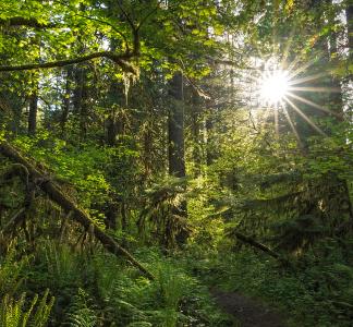 Mt. Baker-Snoqualmie National Forest, Washington.