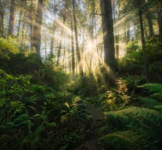 Olympic National Park, WA