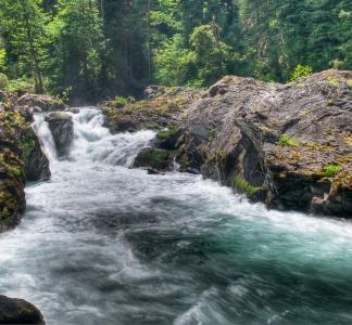 River rushing toward foreground with moss-covered banks and forest on either side