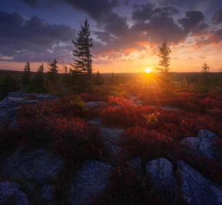 Sunset in Dolly Sodds Wilderness Area, WV