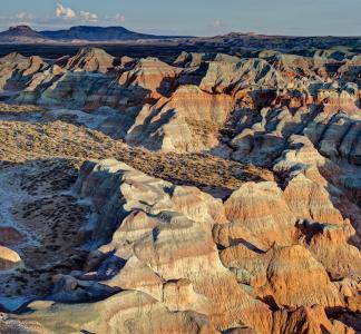 Northern Red Desert, Wyoming.